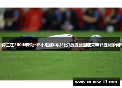 荷兰在2004年欧洲杯小组赛中以2比1战胜德国迎来精彩胜利瞬间