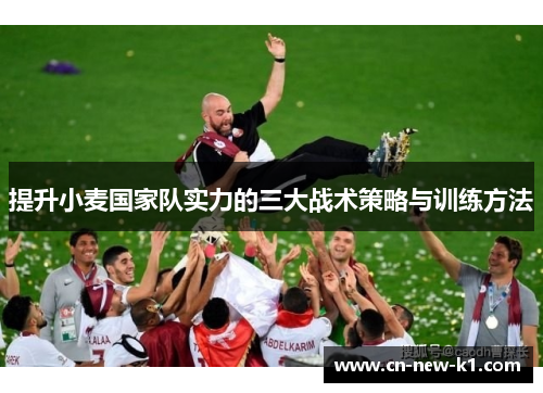 提升小麦国家队实力的三大战术策略与训练方法